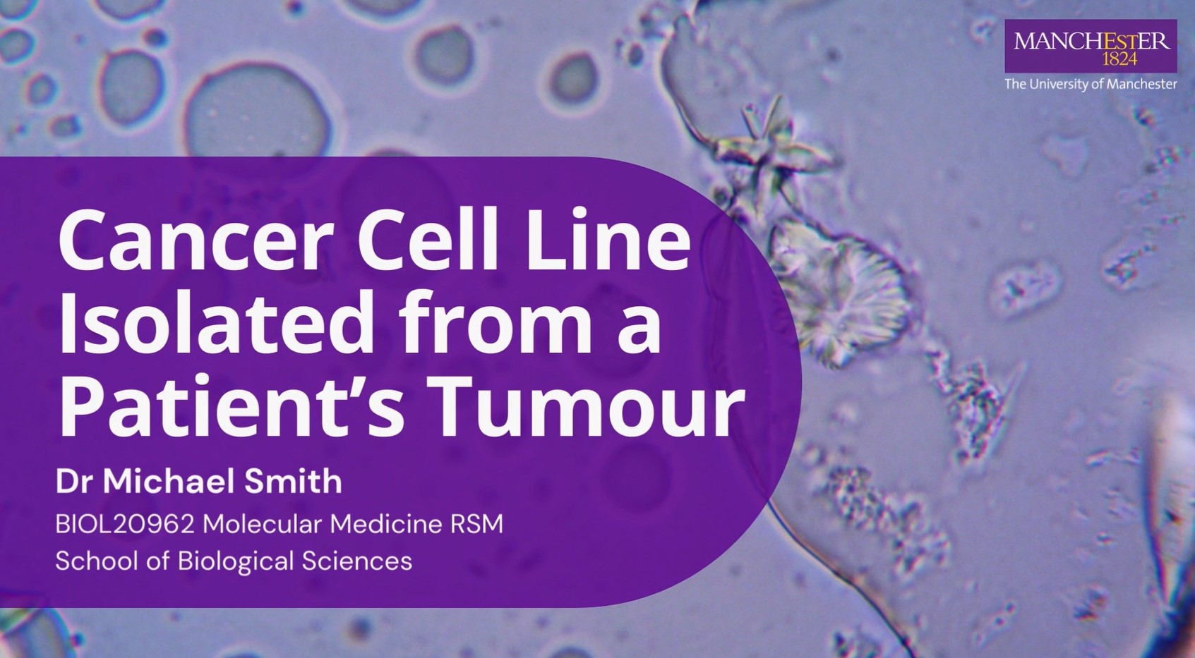 Dummy video preview image for video: BIOL20962 - Molecular Medicine RSM - 6: Cancer Cell Lines Isolated From a Patients Tumour