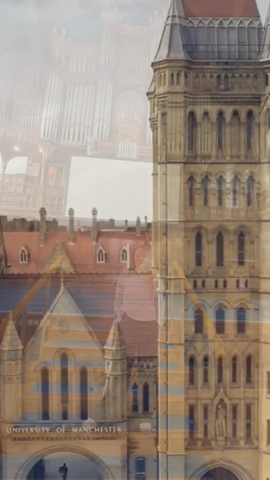 Dummy video preview image for video: Psychology BSc Offer Holder Online Event